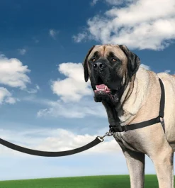 Petsafe Easy Walk Anti-Trektuig Zwart - Hondenopvoeding