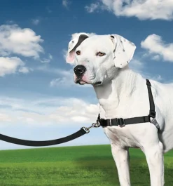 Petsafe Easy Walk Anti-Trektuig Zwart - Hondenopvoeding