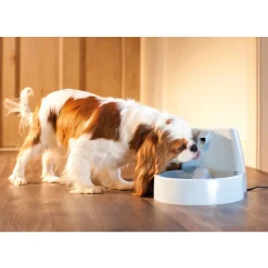 Petsafe Original Pet Fountain - Kattendrinkbak - 28x23x18 cm 1.5 l Wit Grijs