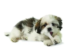 Petstages Deerhorn Grijs - Hondenspeelgoed