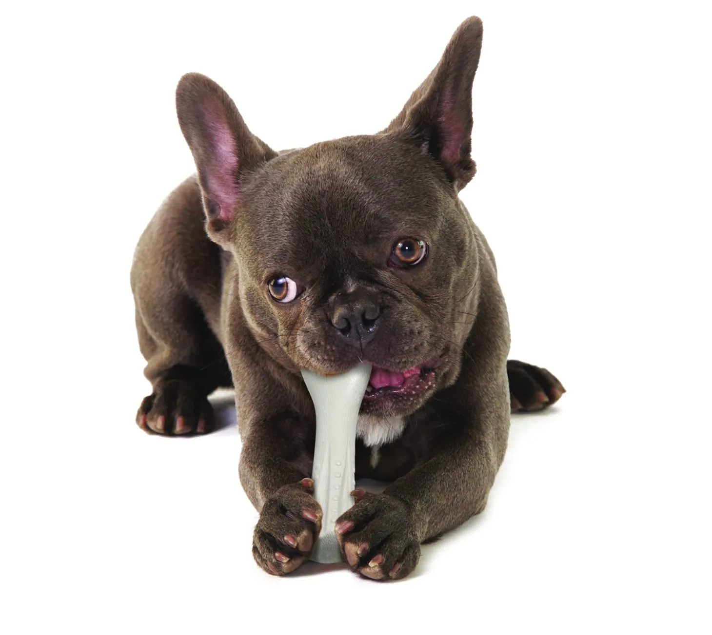 Petstages Deerhorn Grijs - Hondenspeelgoed