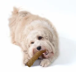 Petstages Dogwood Stick Bruin - Hondenspeelgoed