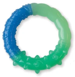 Petstages Grow With Me Ring - Hondenspeelgoed - Ø12 cm Blauw Groen