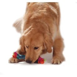 Petstages Orka Stick - Hondenspeelgoed - Assorti per stuk