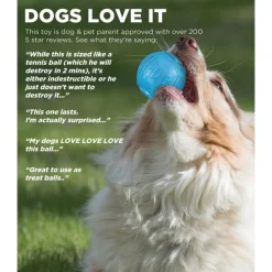 Petstages Orka Tennisbal - Hondenspeelgoed - Ø6.5 cm Blauw