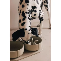 Pino Anti-Schrok Voerbak - Hondenvoerbak - Ø21.7x9 cm Grijs Geschikt Voor Grote Honden Large