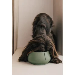 Pino Lange Oren Bowl - Hondenvoerbak - Ø18x9 cm Groen Geschikt Voor Middelgrote Honden Medium
