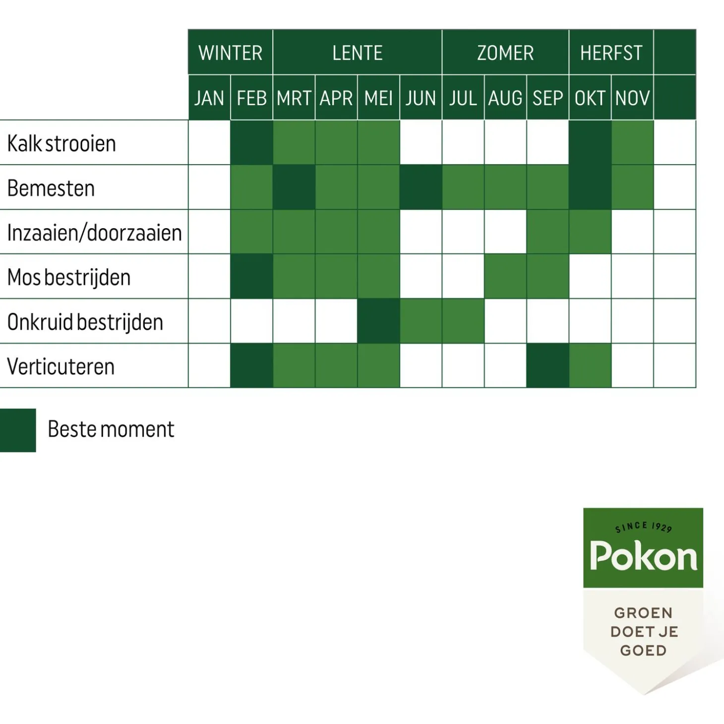 Pokon Bio Gazonmest - Gazonmeststoffen