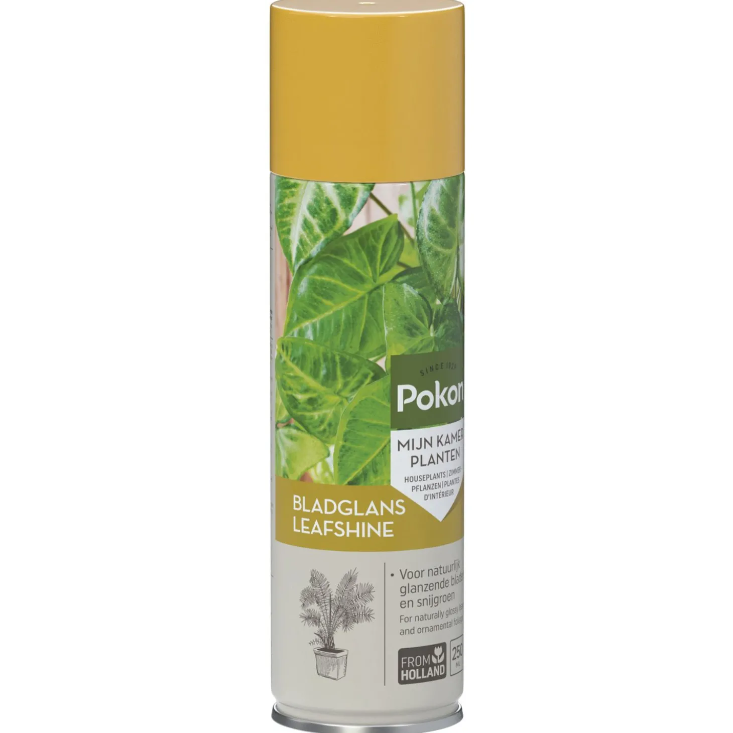 Pokon Bladglans - Gewasbescherming - 250 ml