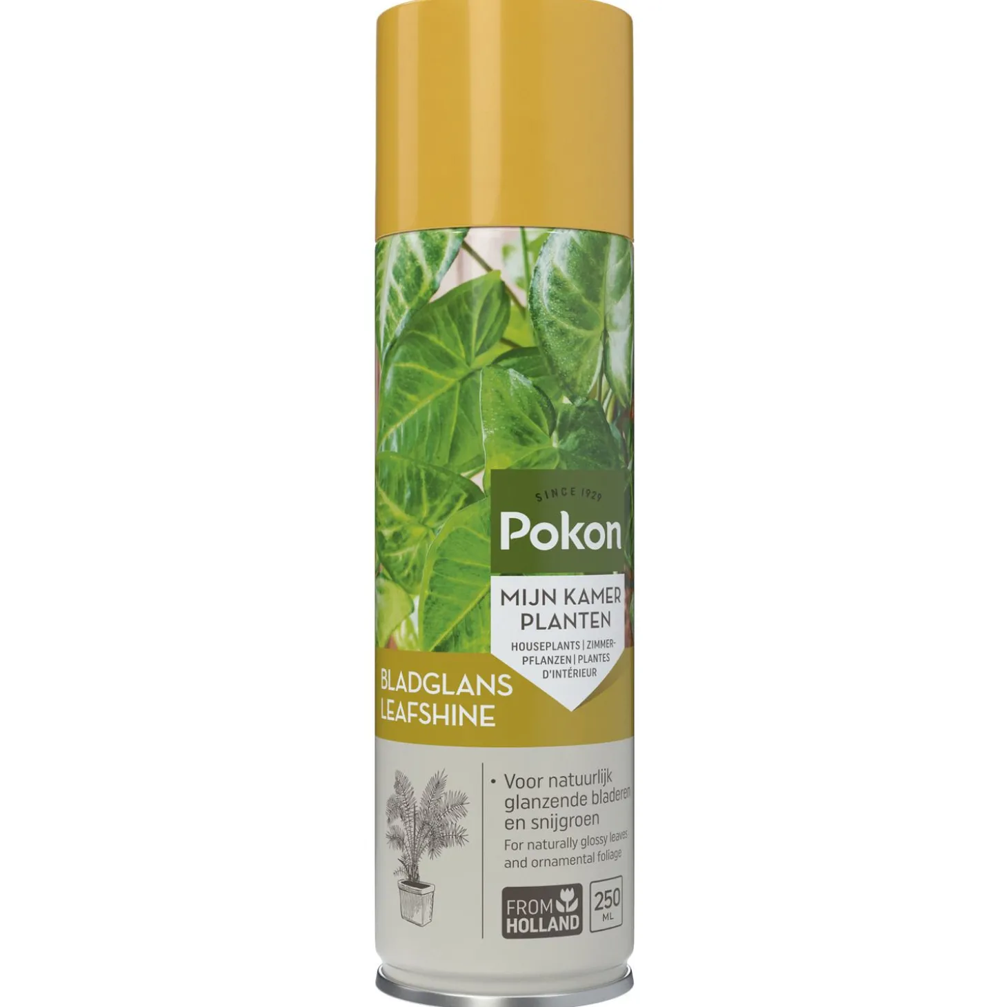 Pokon Bladglans - Gewasbescherming - 250 ml