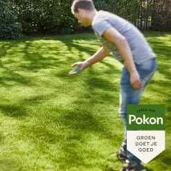 Pokon Graszaad Schaduw - Graszaden - 500 g