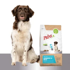 Prins Procare Adult Hypoallergeen Haring&Rijst - Hondenvoer