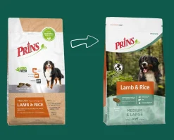 Prins Procare Adult Lam&Rijst - Hondenvoer