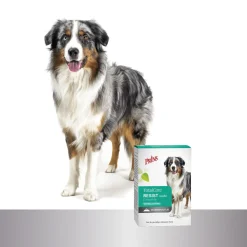 Prins Totalcare Resist Calm - Diepvriesvoer - 2.5 kg