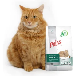 Prins Vitalcare Cat Senior 12plus - Kattenvoer