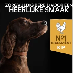 Pro Plan Dog Adult Athletic Large Breed Kip - Hondenvoer