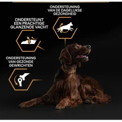 Pro Plan Dog Adult Athletic Large Breed Kip - Hondenvoer