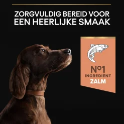 Pro Plan Dog Adult Large Sensitive Skin - Hondenvoer - Zalm 14 kg