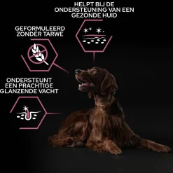 Pro Plan Dog Adult Large Sensitive Skin - Hondenvoer - Zalm 14 kg