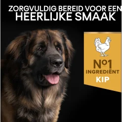 Pro Plan Dog Adult Large Breed Robust Kip - Hondenvoer