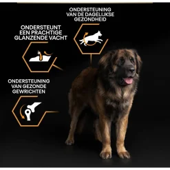 Pro Plan Dog Adult Large Breed Robust Kip - Hondenvoer