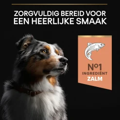 Pro Plan Dog Adult Medium Breed Sensitive Zalm - Hondenvoer
