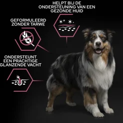 Pro Plan Dog Adult Medium Breed Sensitive Zalm - Hondenvoer