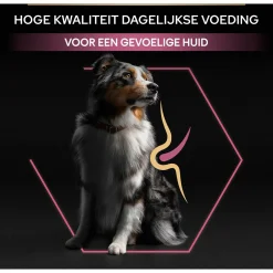 Pro Plan Dog Adult Medium Breed Sensitive Zalm - Hondenvoer
