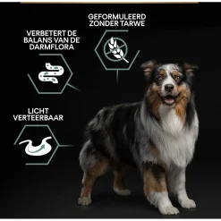 Pro Plan Dog Adult Medium & Large Sensitive Digestion Grain Free Kalkoen - Hondenvoer