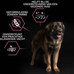 Pro Plan Dog Adult Robuust Sensitive Skin - Hondenvoer - Zalm 14 kg