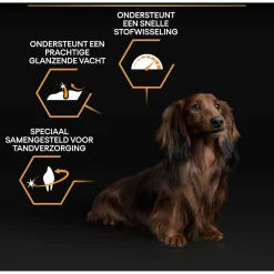 Pro Plan Dog Adult Small & Mini Breed Kip - Hondenvoer