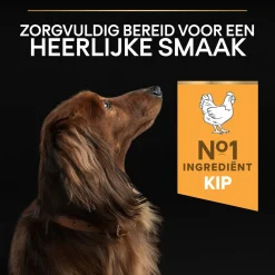 Pro Plan Dog Adult Small & Mini Breed Kip - Hondenvoer