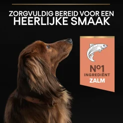 Pro Plan Dog Adult Small & Mini Breed Sensitive - Hondenvoer - Zalm 3 kg
