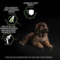 Pro Plan Dog Puppy Large Breed Robust Kip - Hondenvoer