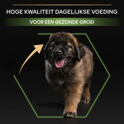 Pro Plan Dog Puppy Large Breed Robust Kip - Hondenvoer