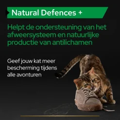 Pro Plan Kat Natural Defence Supplement - Voedingssupplement - 60 g Poeder