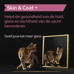 Pro Plan Kat Skin&Coat Supplement Olie - Voedingssupplement - 150 ml