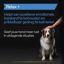 Pro Plan Relax Supplement Olie - Voedingssupplement - 250 ml
