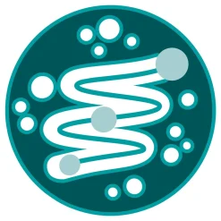 Purina One Adult - Kattenvoer - Rund Granen 1.5 kg