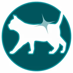 Purina One Adult Kip&Granen - Kattenvoer