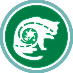 Purina One Indoor Formula Kalkoen - Kattenvoer