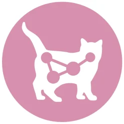 Purina One Junior - Kattenvoer - Kip Granen 800 g