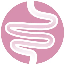 Purina One Junior - Kattenvoer - Kip Granen 800 g