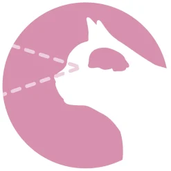 Purina One Junior - Kattenvoer - Kip Granen 800 g