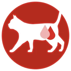 Purina One Sterilcat - Kattenvoer - Rund Granen 800 g