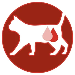 Purina One Sterilcat - Kattenvoer - Rund Granen 3 kg