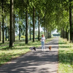 Rebelpetz Duo Looplijn - Hondenriem - 140 cm Zwart Large