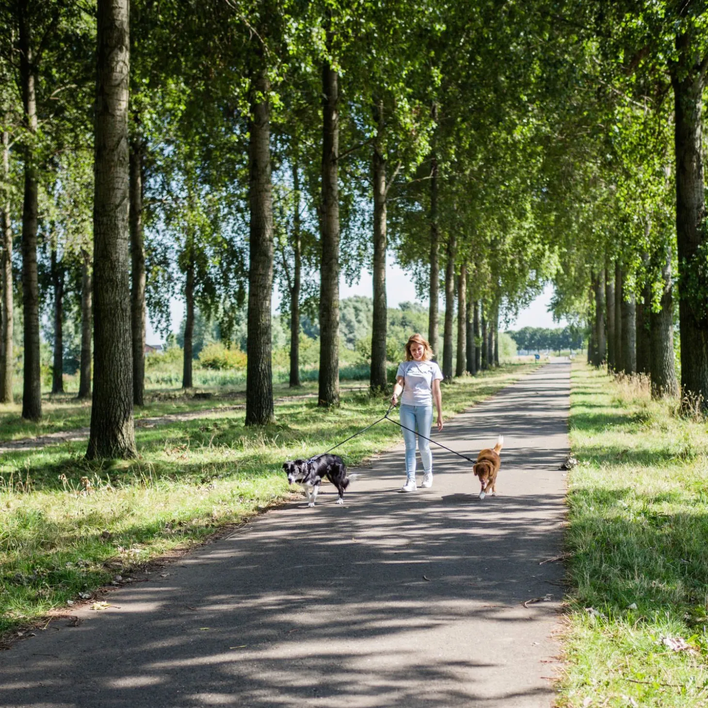 Rebelpetz Duo Looplijn - Hondenriem - 140 cm Zwart Small