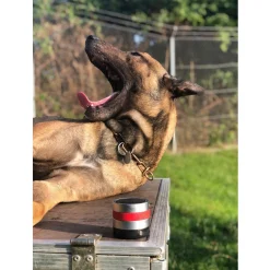 Relaxopet Pro Dog - Anti stresssysteem - 6.2x5.5 cm Metallic Rood