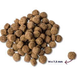 Renske Adult Oceaanvis - Hondenvoer